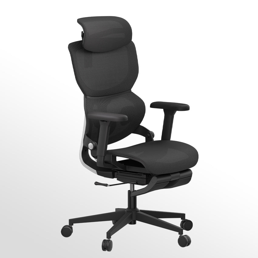 Motostuhl Q3 Ergonomic Office Chair
