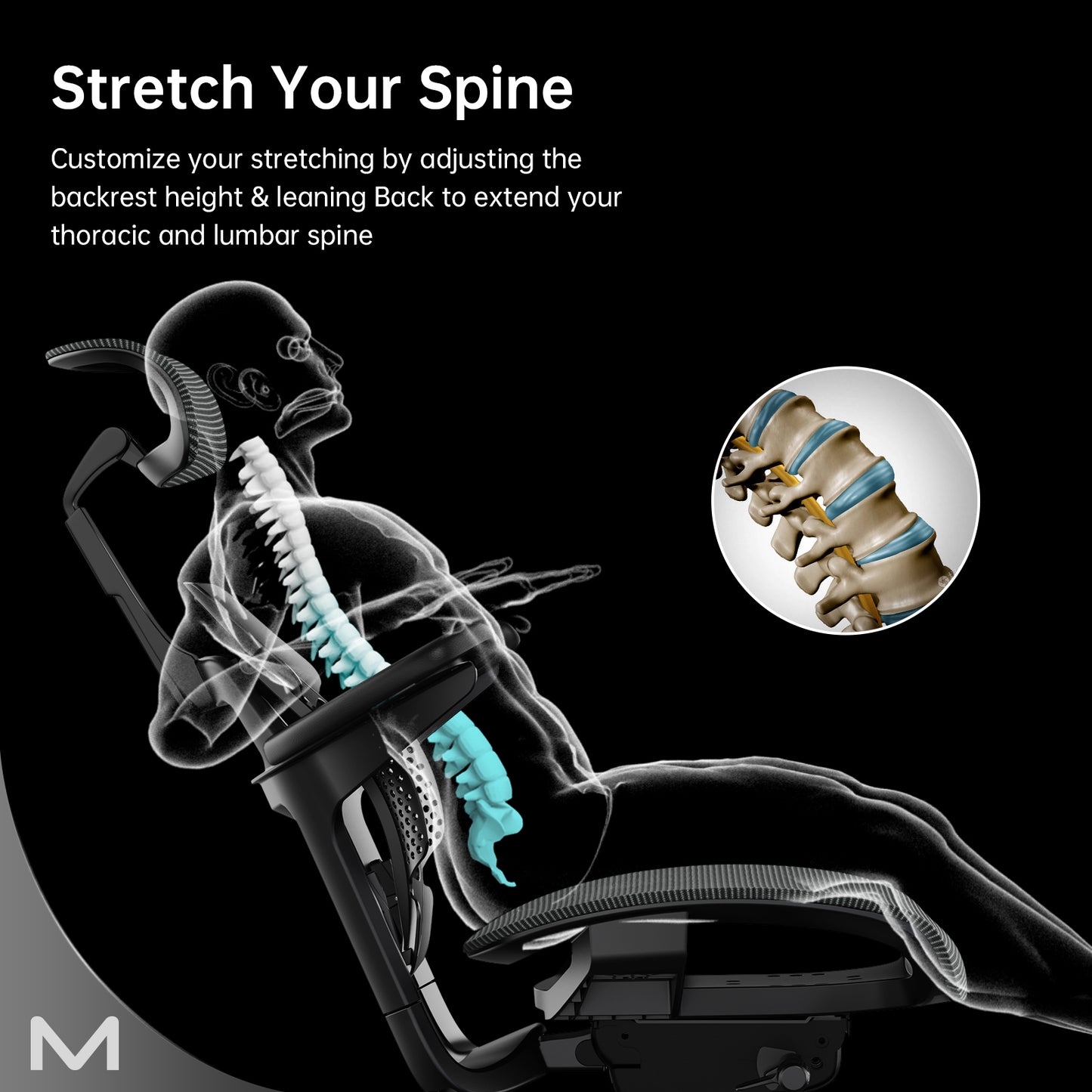Motostuhl Verte Pro Ergonomic chairs