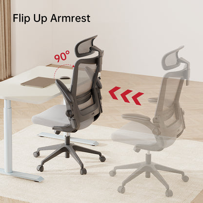 Motostuhl C6 Ergonomic Office Chair