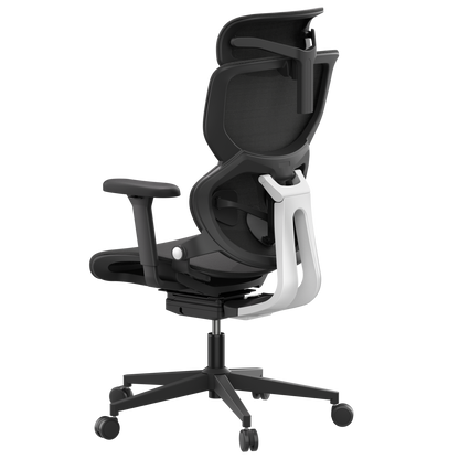 Motostuhl Q3 Ergonomic Office Chair