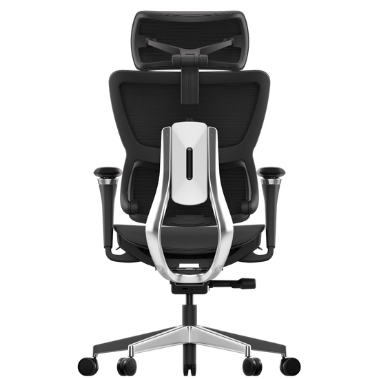 Motostuhl S3P Series Ergonomic Office Chair – Maratti x Motostuhl